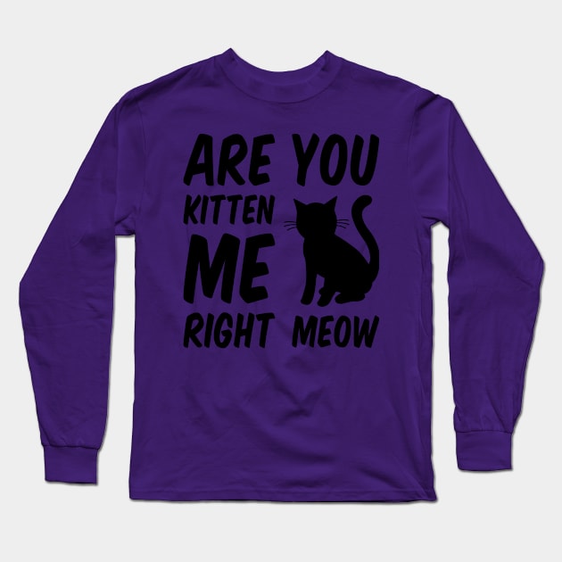 Are You Kitten Me Right Meow Long Sleeve T-Shirt by Everydayoutfit